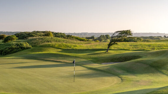 Sweeping links-style golf course view at Golf at The Hawthorn, featuring a manicured putting green with flag pin, surrounding sand bunkers, wild rough grass, a windswept tree and open coastal skyline bathed in warm evening light