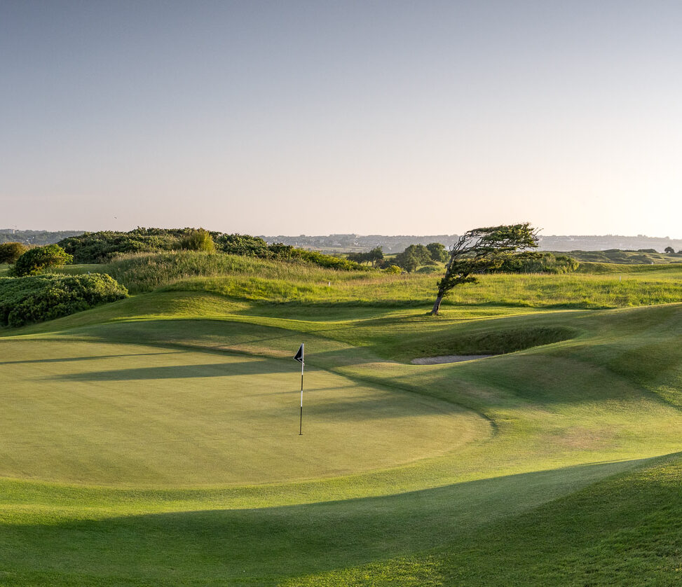 Hero desktop banner single