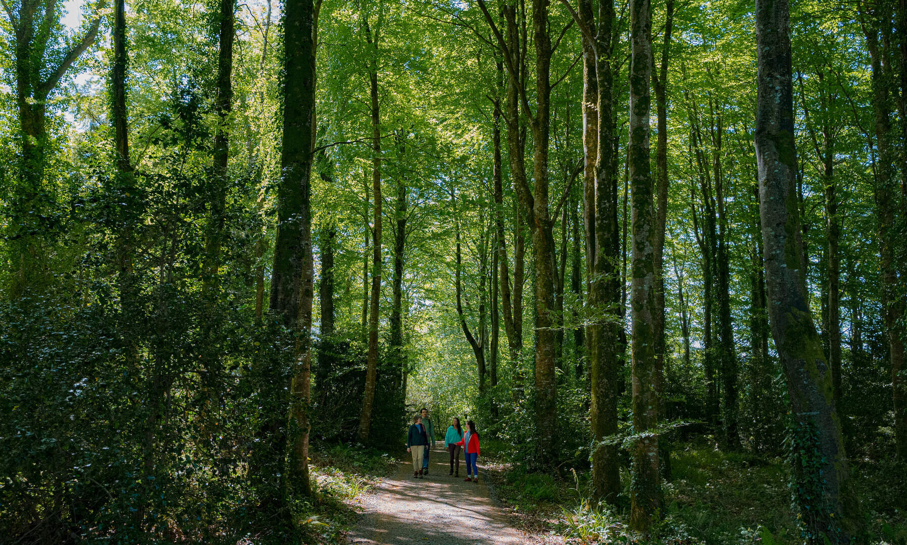 Hero desktop banner single